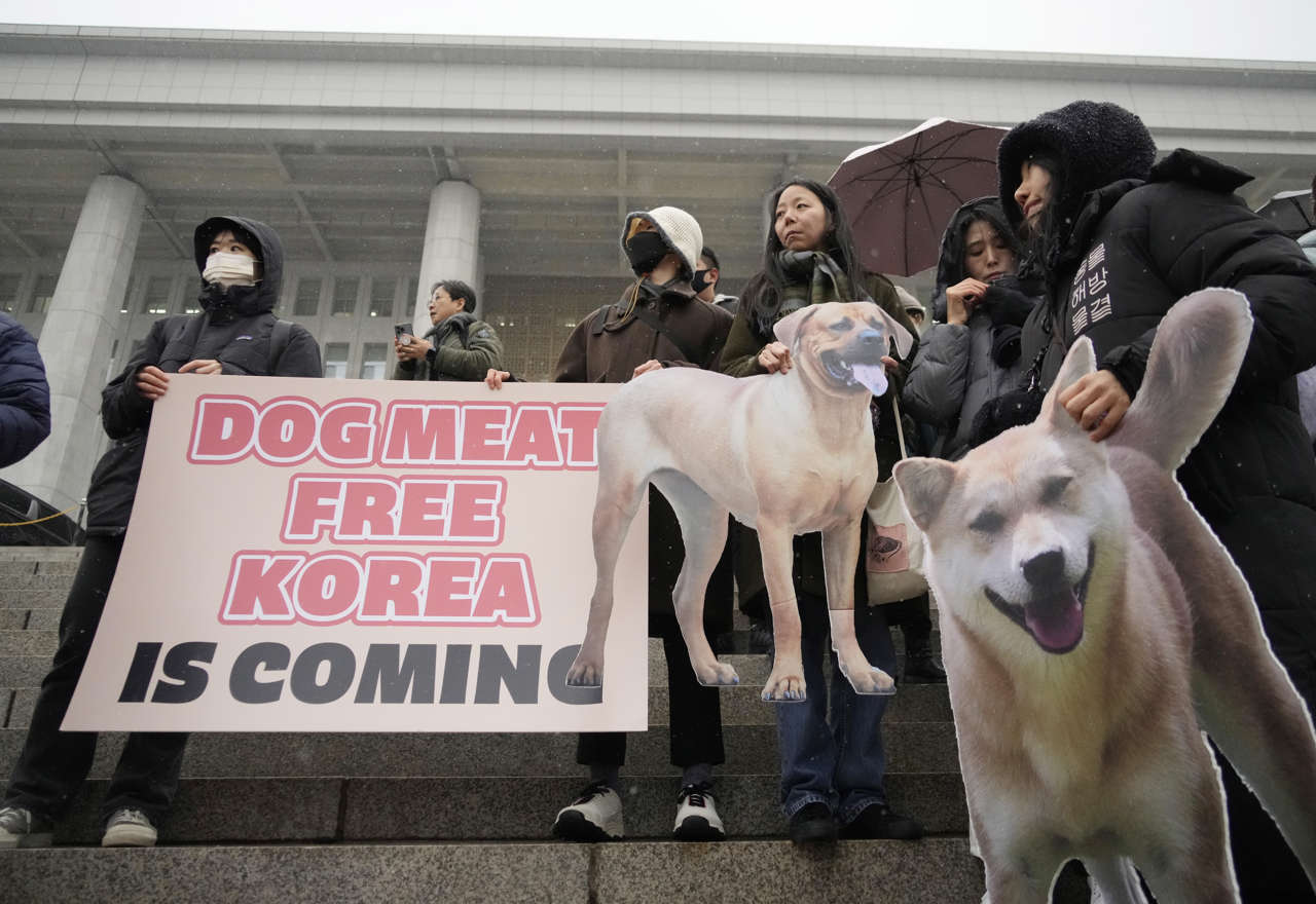 Corea del Sur prohíbe el consumo de carne de perro