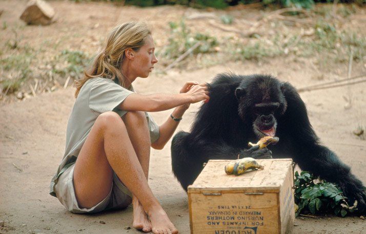 Jane Goodall en Chile y cómo salvar el planeta: 