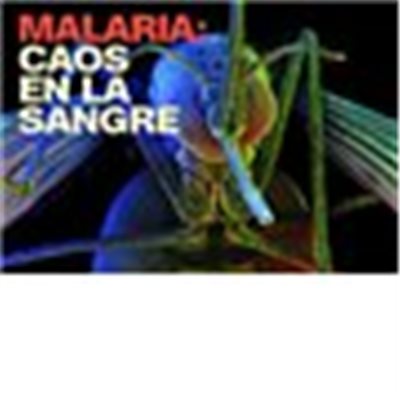 Malaria, una epidemia mundial