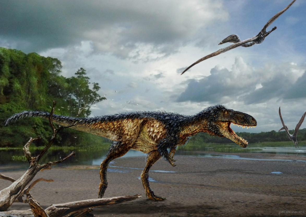 tiranosaurio rex evolucion antes y despues