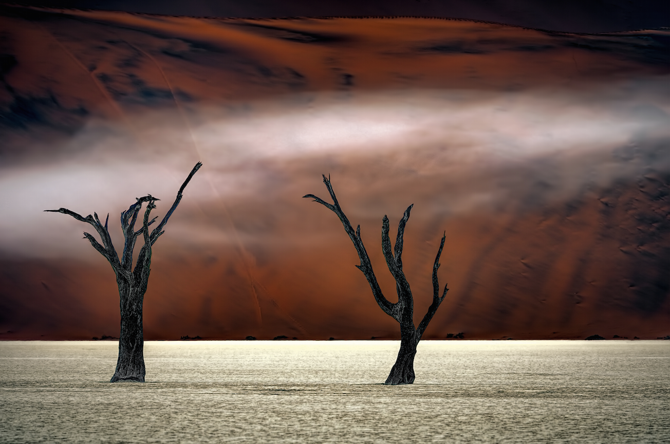 Los ganadores del International Landscape Photographer of the Year 2016