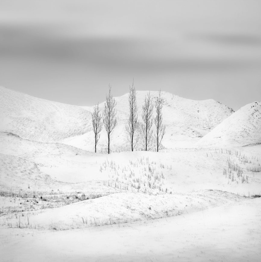 Los ganadores del International Landscape Photographer of the Year 2016