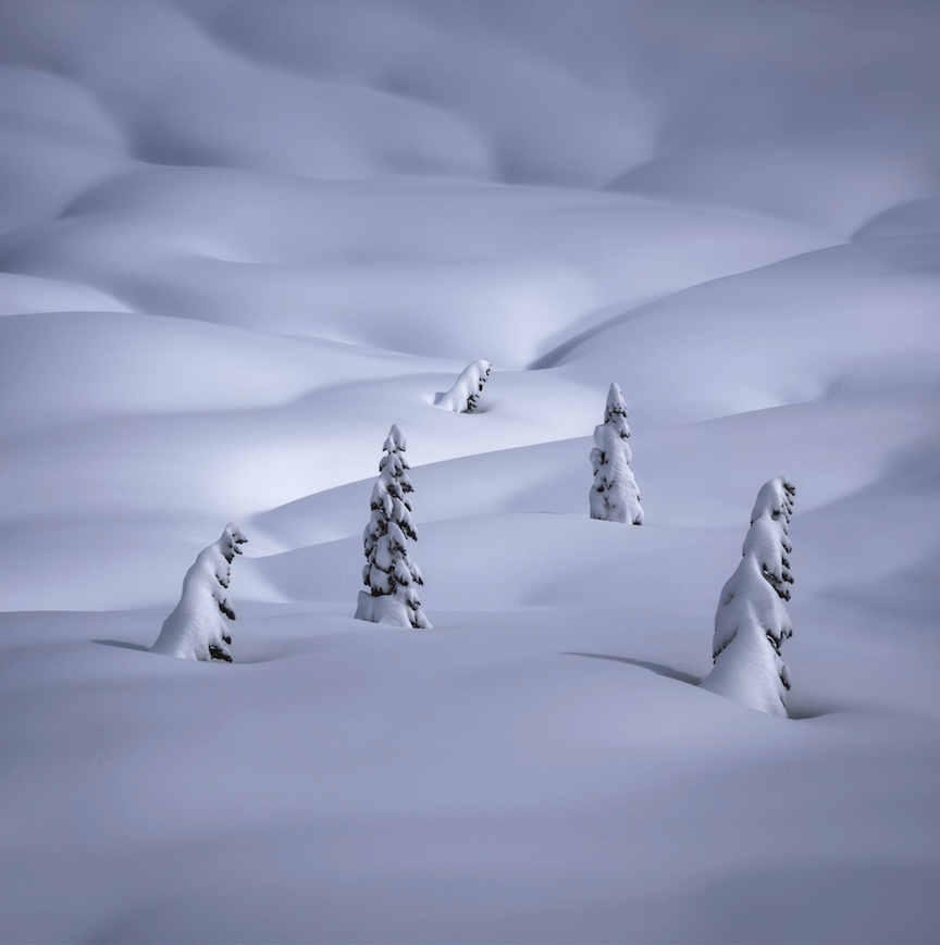 Los ganadores del International Landscape Photographer of the Year 2016