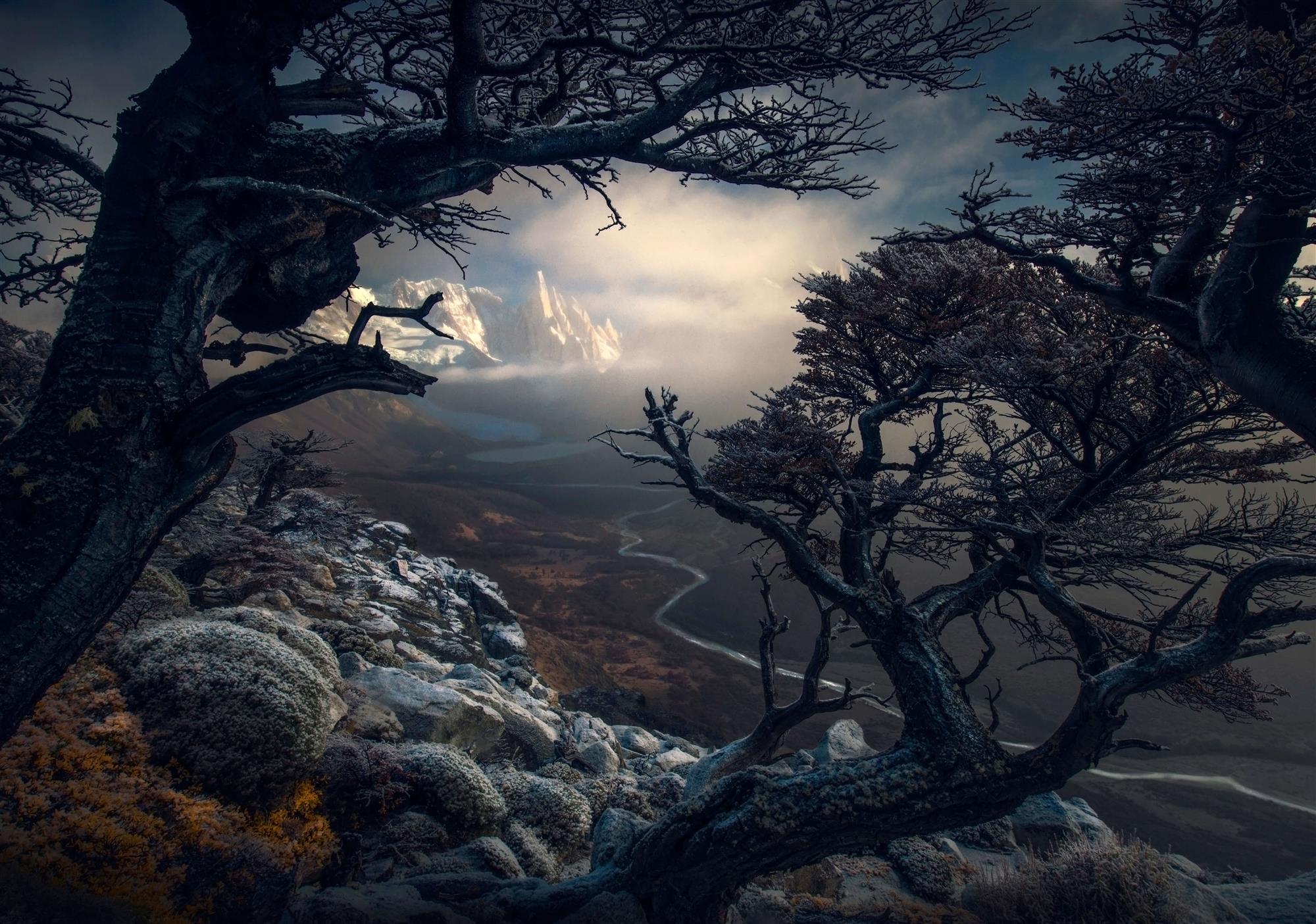 Conoce a los ganadores del Landscape International Photographer of the ...
