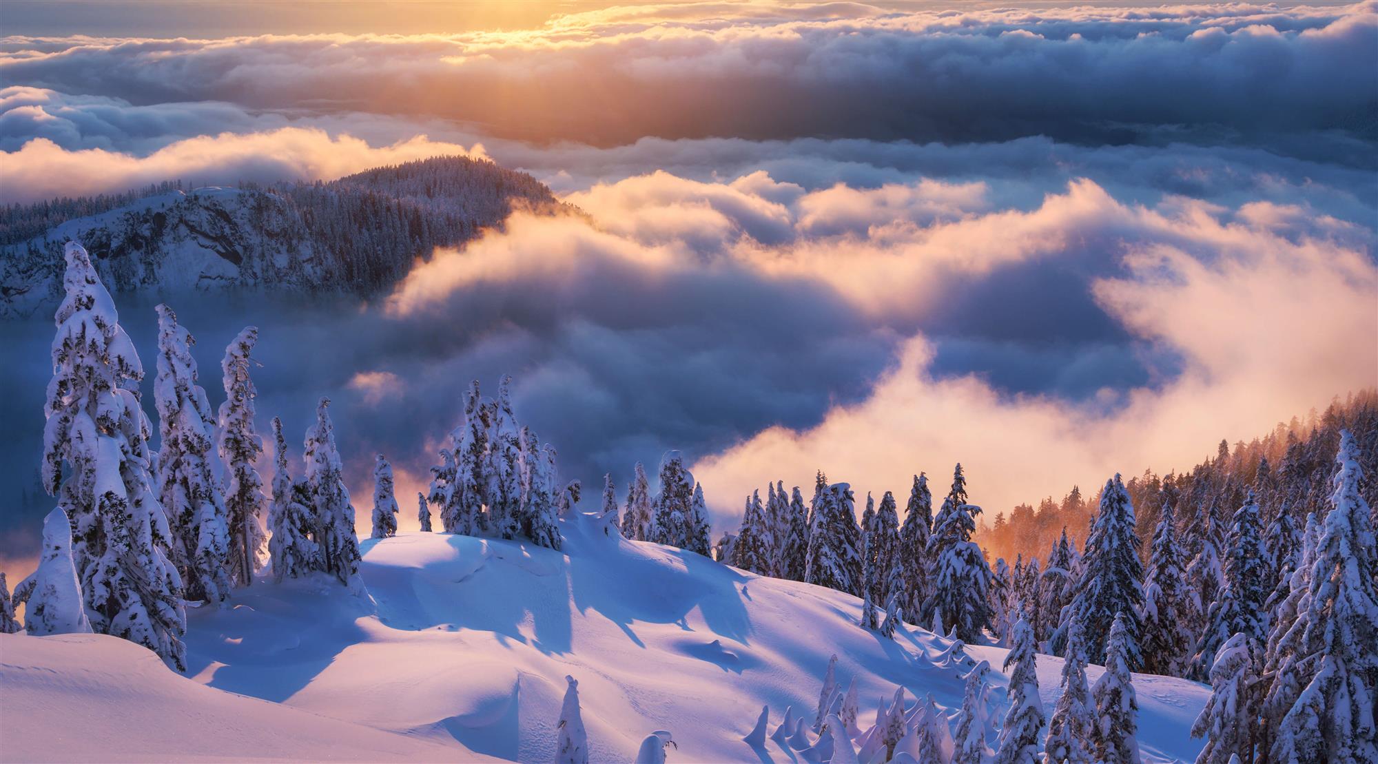 Conoce a los ganadores del Landscape International Photographer of the ...