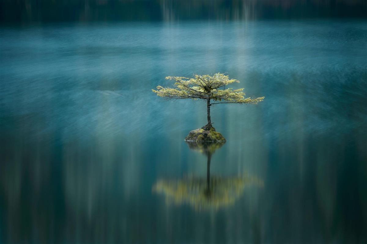 Conoce a los ganadores del Landscape International Photographer of the ...