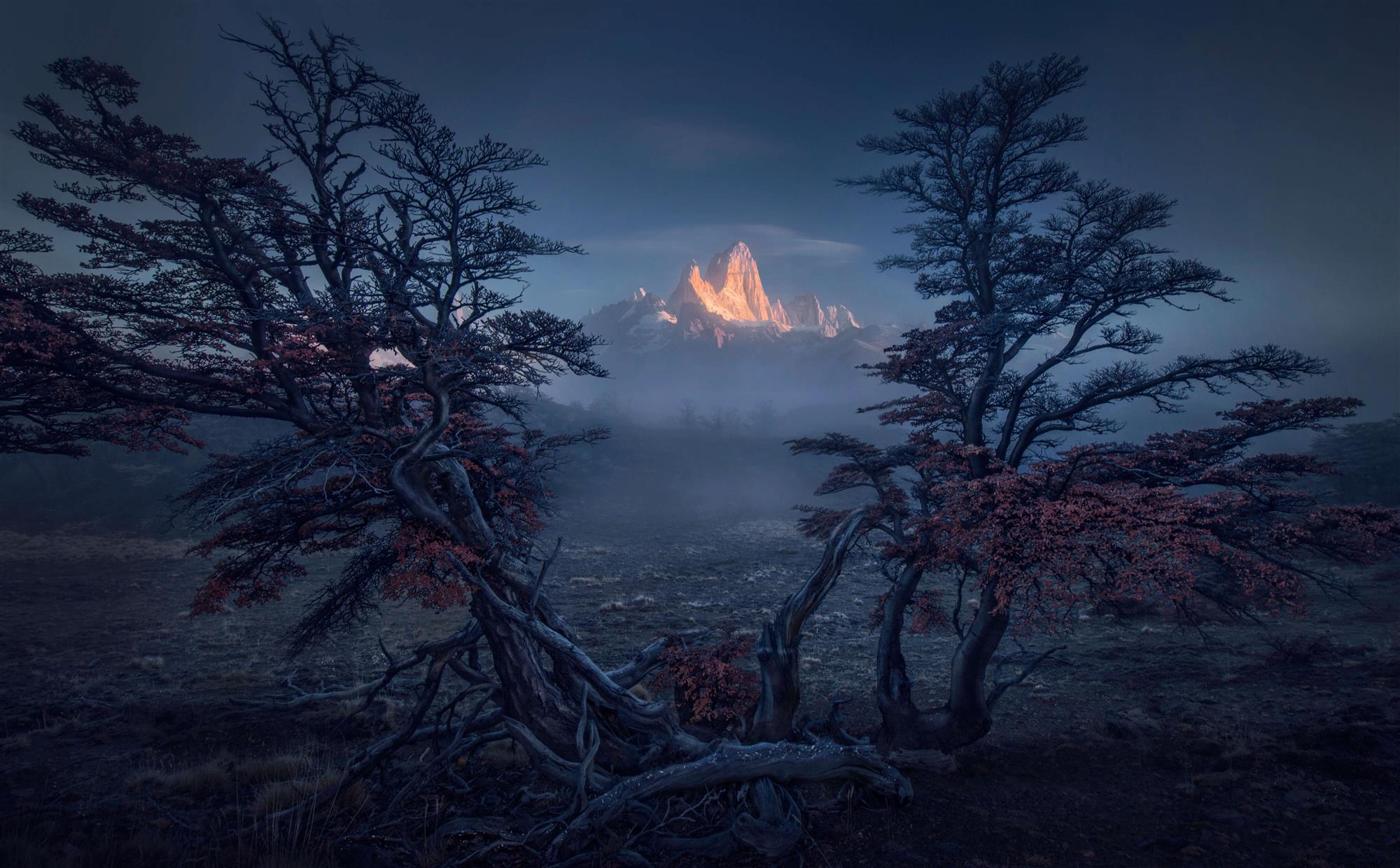 Conoce a los ganadores del Landscape International Photographer of the ...