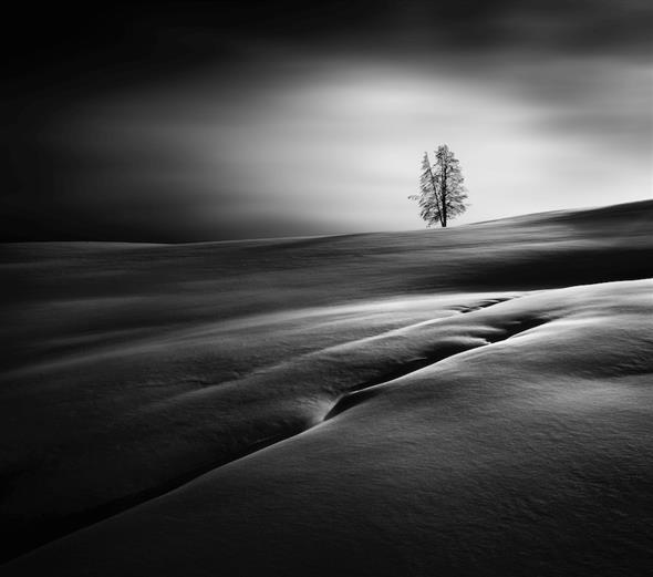 Conoce a los ganadores del Landscape International Photographer of the ...