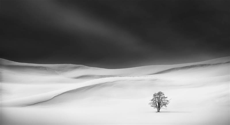 Conoce a los ganadores del Landscape International Photographer of the ...