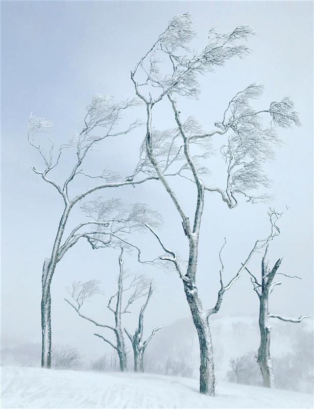Conoce a los ganadores del Landscape International Photographer of the ...