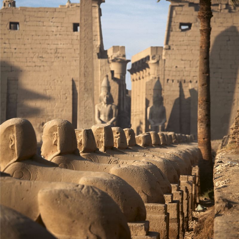 Avanza la recuperación del patrimonio faraónico