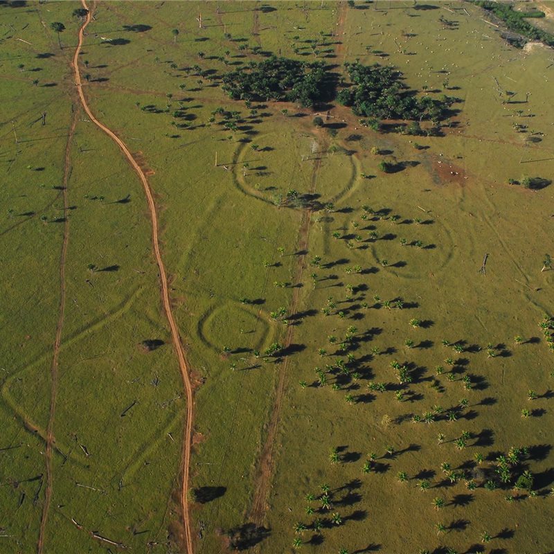La deforestación amazónica deja al descubierto los antiguos geoglifos de los indígenas