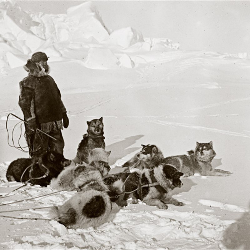 Amundsen: filmaciones originales de su expedición al polo Sur
