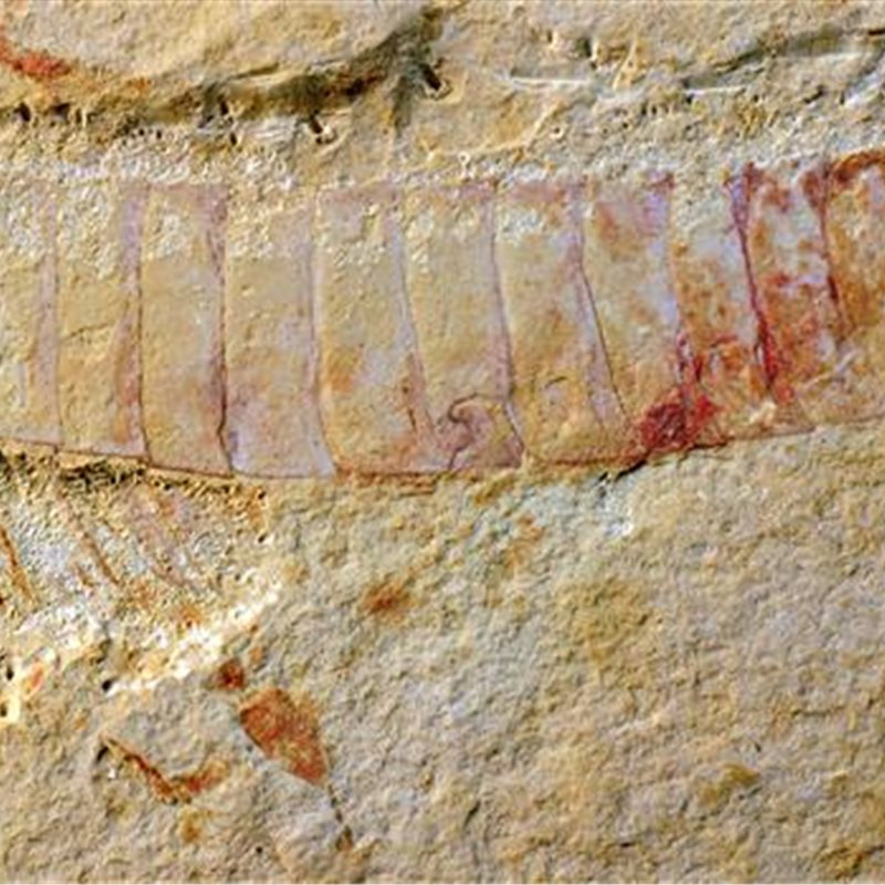 Hallan uno de los fósiles más antiguos y detallados del sistema nervioso central