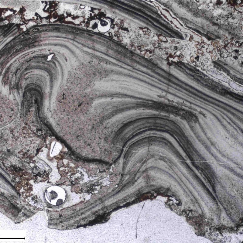 Indicios de vida microbiana en unas rocas de Australia de hace 3.480 millones de años