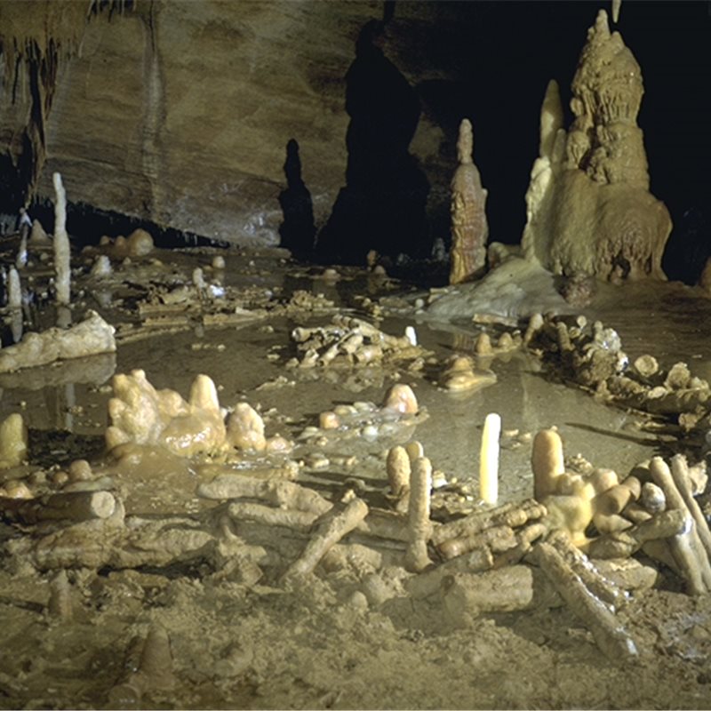 ¿Qué extraño ritual se practicó en la cueva de Bruniquel?
