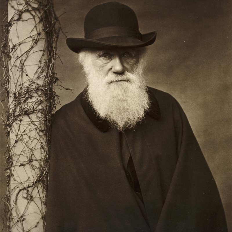 Charles Darwin el padre de la teoría de la evolución