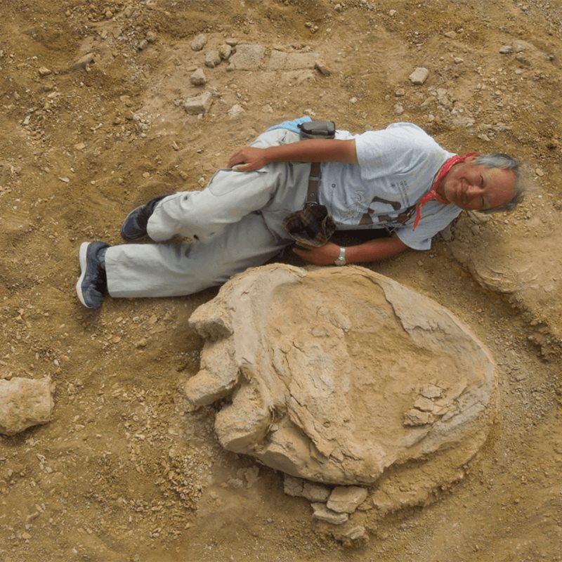 Hallada una de las huellas de dinosaurio más grandes del mundo