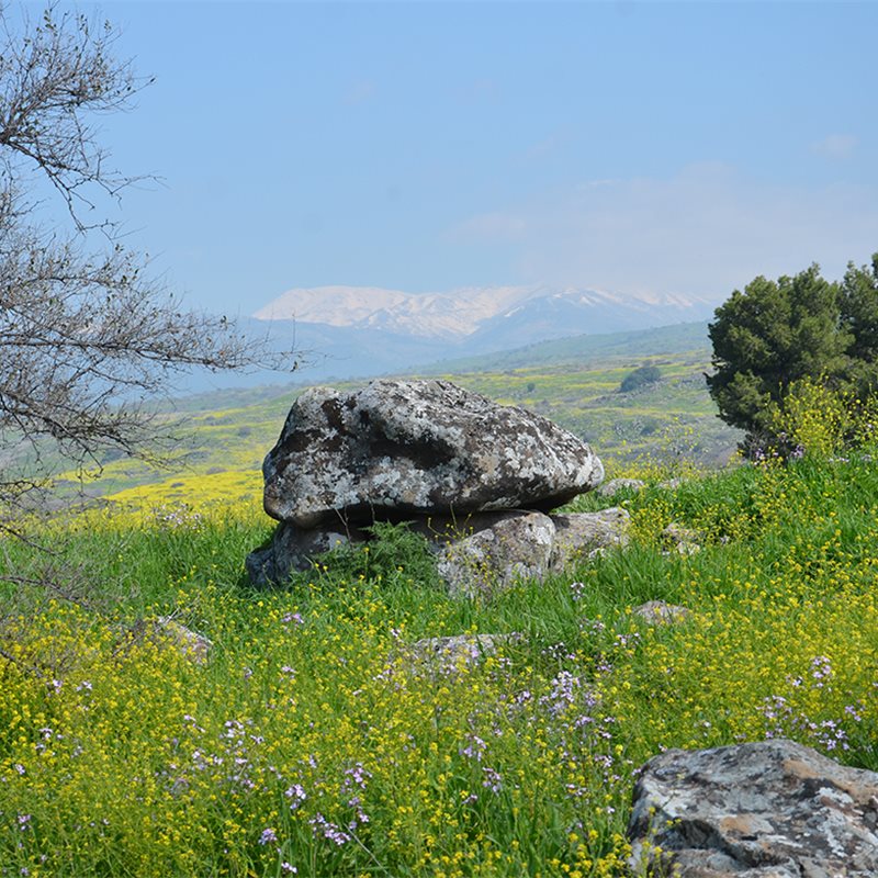 Hallazgo en Israel: un dolmen con unos misteriosos grabados en su interior