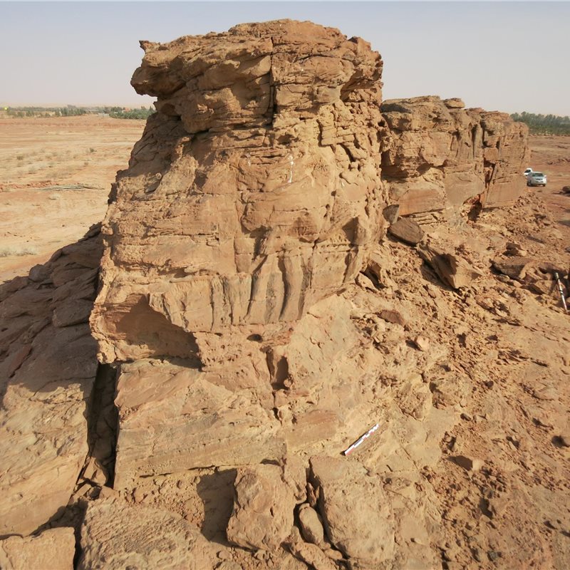 Descubren grandes relieves de dromedarios en unas rocas de Arabia Saudí