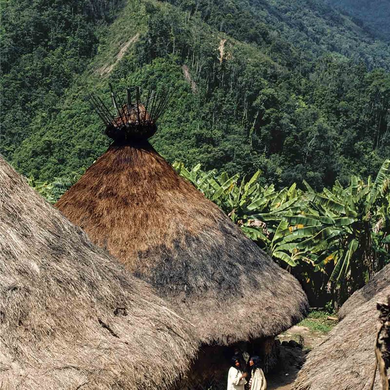 Teyuna, la ciudad perdida en la selva de Colombia