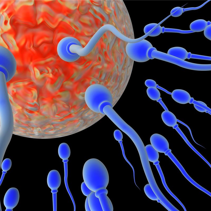 La calidad del esperma ha caído alarmantemente en los últimos 40 años