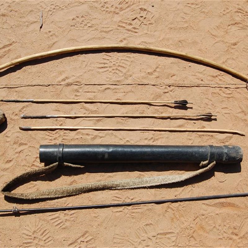 Investigan las flechas envenenadas de los bosquimanos