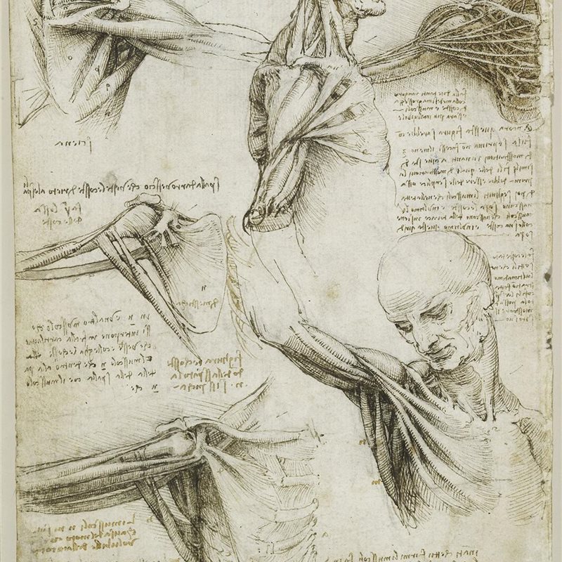 «Leonardo da Vinci: la mecánica del hombre»