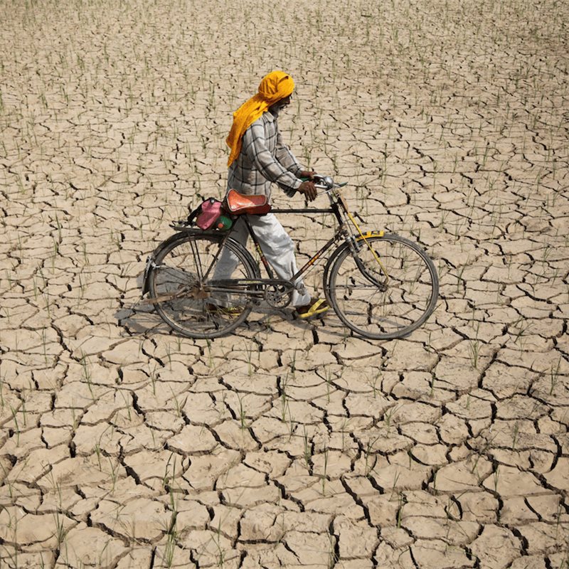 Los problemas de la ausencia del monzón en India
