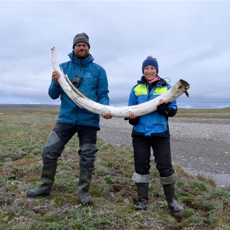 En Siberia hay más fósiles de mamuts lanudos machos que de hembras... ¿Cómo se explica?