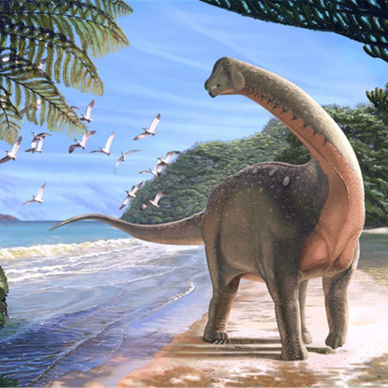  Un nuevo dinosaurio egipcio revela el antiguo vínculo entre África y Europa