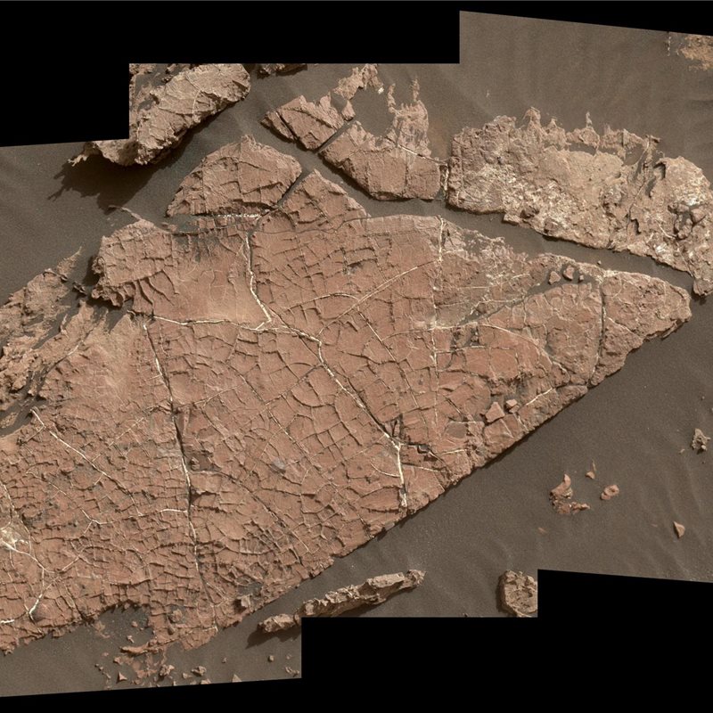Esta roca pudo formarse al secarse y agrietarse el barro de un antiguo lago marciano