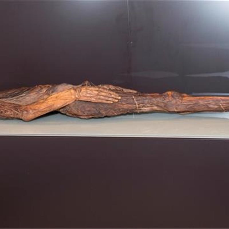 La momia guanche del Barranco de Herques se exhibe en el MAN