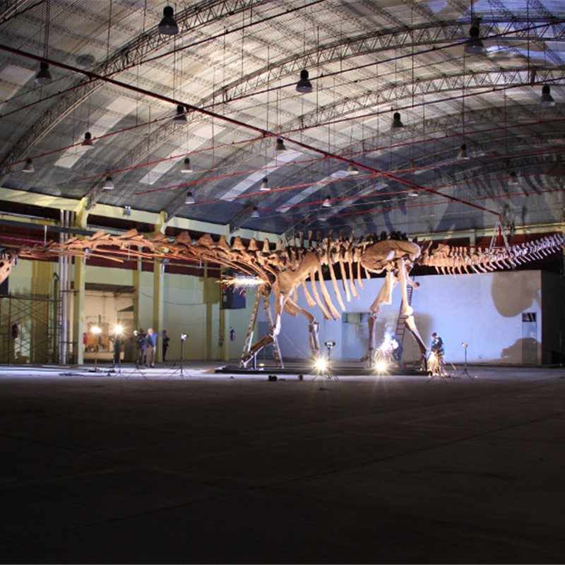 Patagotitan mayorum: el mayor dinosaurio de la historia
