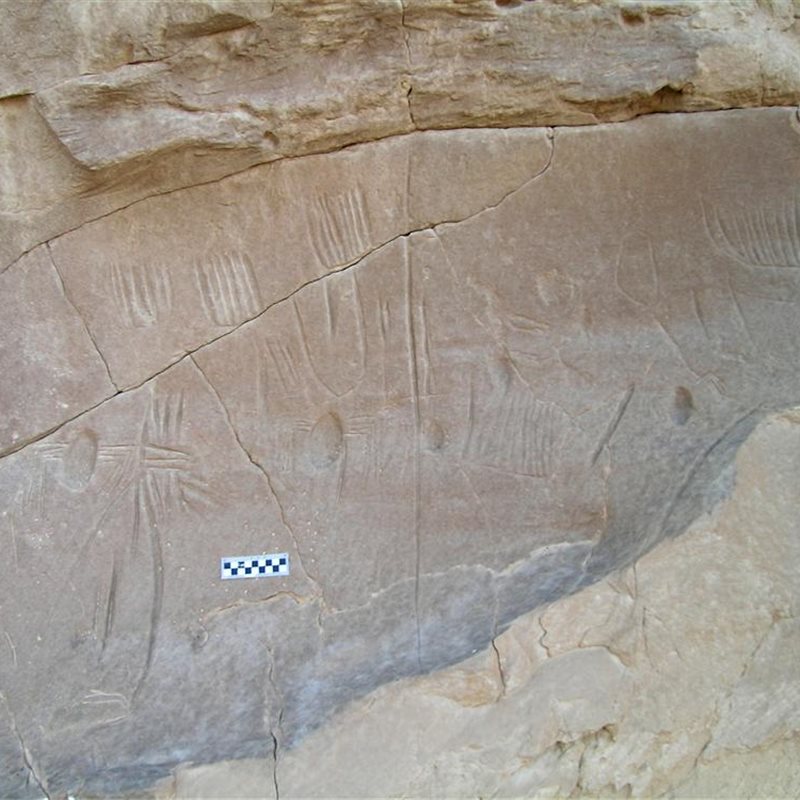 Arañas en el arte rupestre egipcio