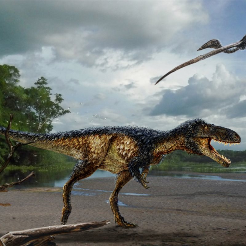 Así se convirtió el tiranosaurio rex en el rey de los dinosaurios del Cretácico