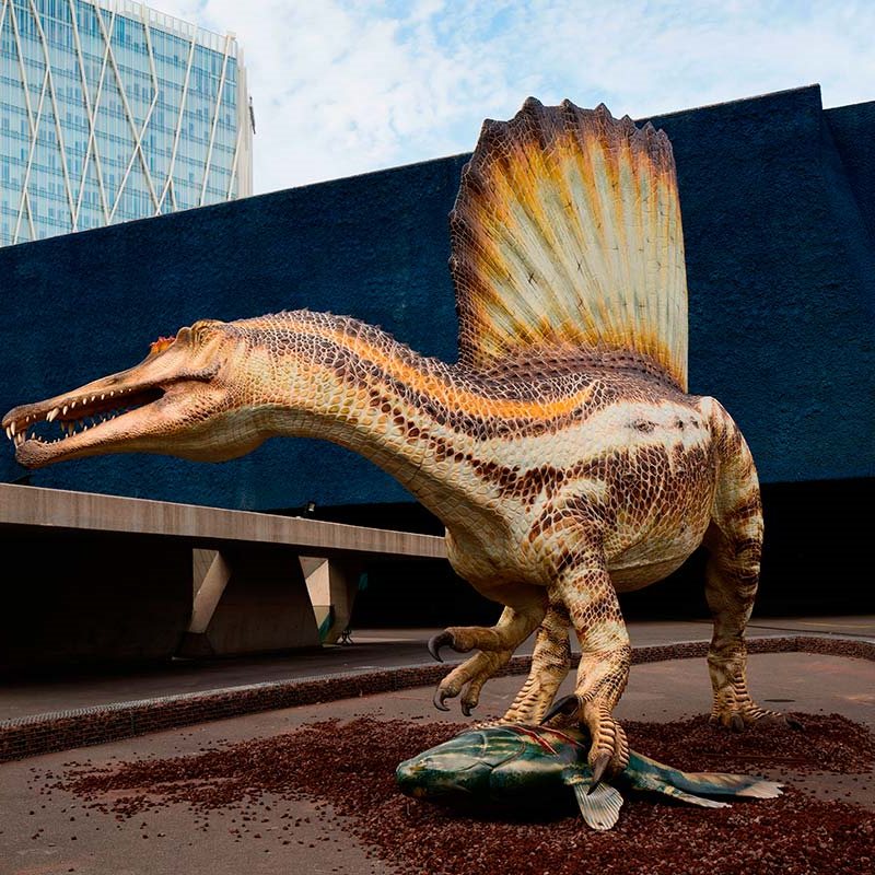 Timelapse: el montaje de un Spinosaurus a tamaño real