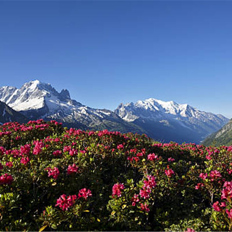 10 preciosos paisajes primaverales de todo el mundo