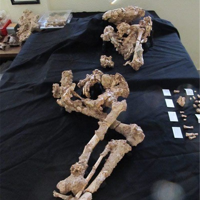 Nuevos hallazgos neandertales en la Sima de las Palomas, en la Región de Murcia