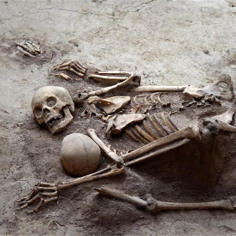 Esqueletos que revelan una muerte fortuita