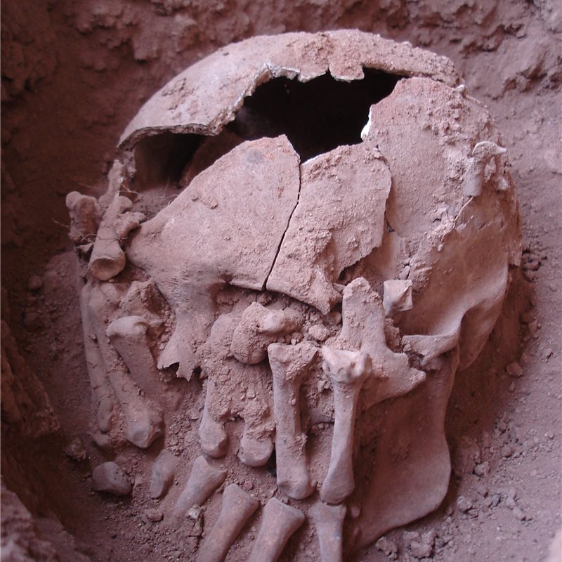 Descubren el caso de decapitación más antiguo de América