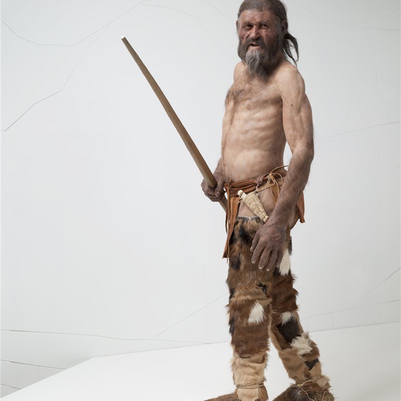 Ötzi,la momia alpina de hace 5.300 años, vestía con piel de oso, cabra y corzo