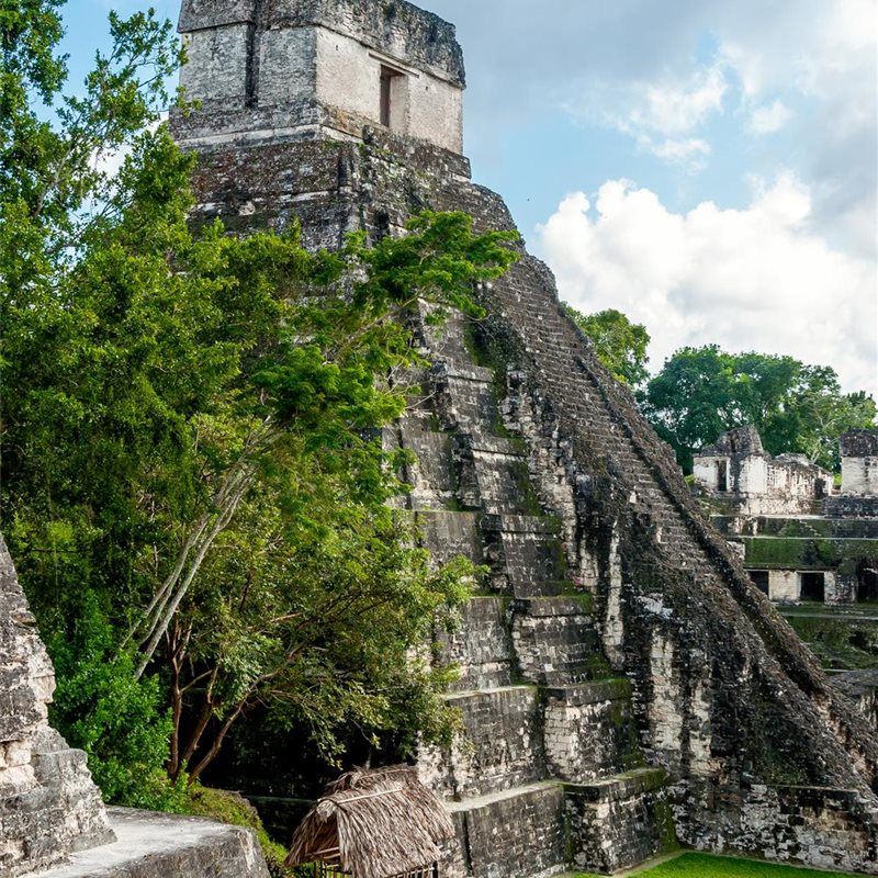 Poder y muerte en Tikal