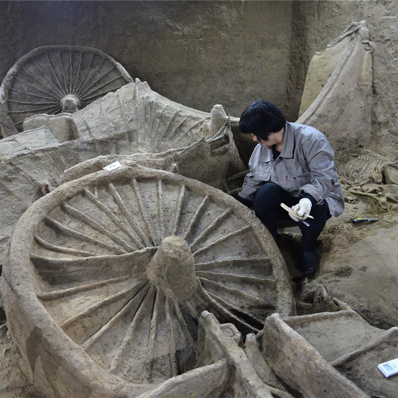 Esqueletos de caballos y carros en una fosa excavada en China