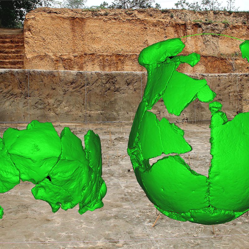 2 cráneos excavados en China tienen rasgos de los neandertales y de los humanos modernos