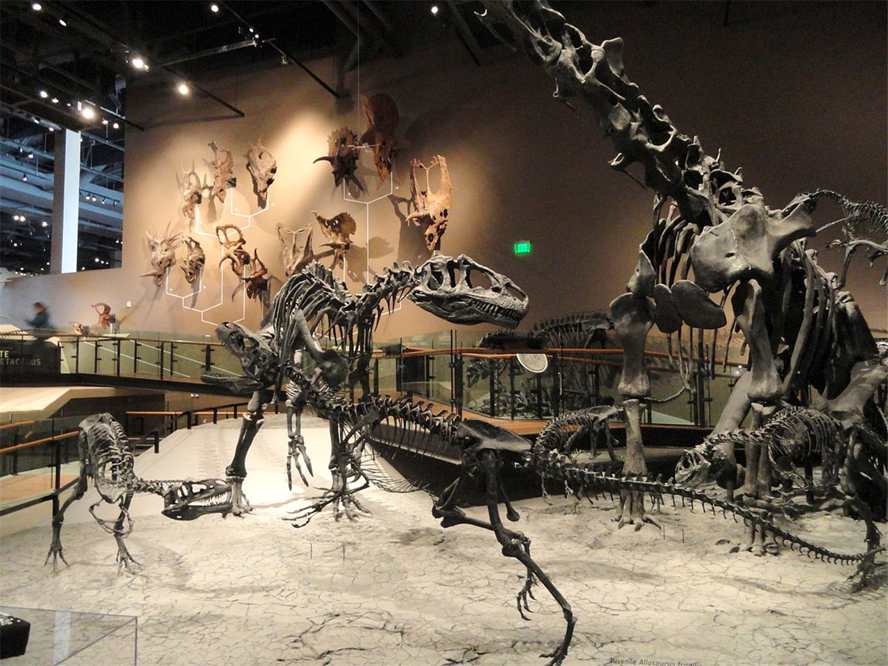 Museo de Historia Natural de Utah Estados Unidos