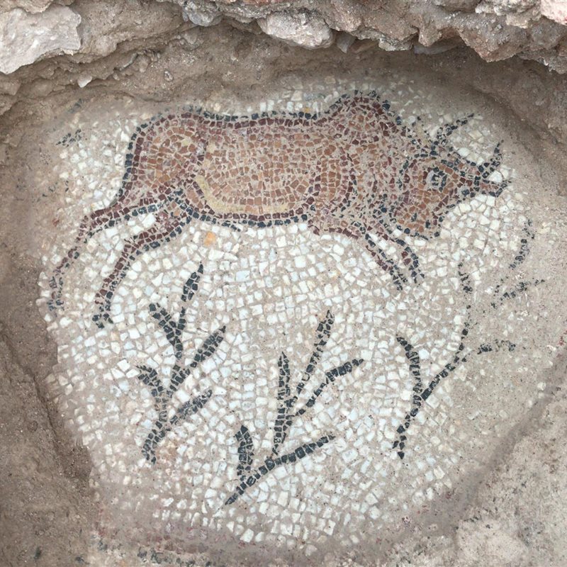 Excavan una de las iglesias más antiguas de Turquía, con un magnífico mosaico