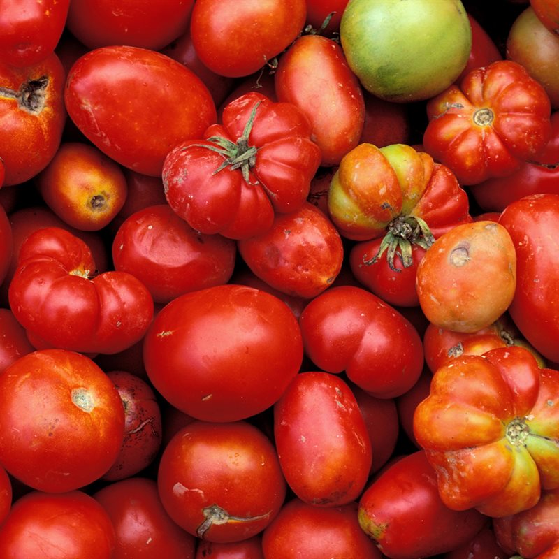 El secreto para conseguir plantar tomates en Marte