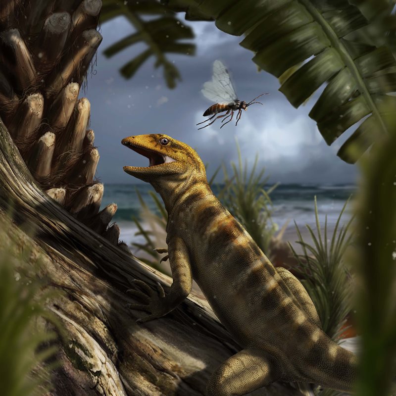 El fósil de lagarto más antiguo de la Tierra