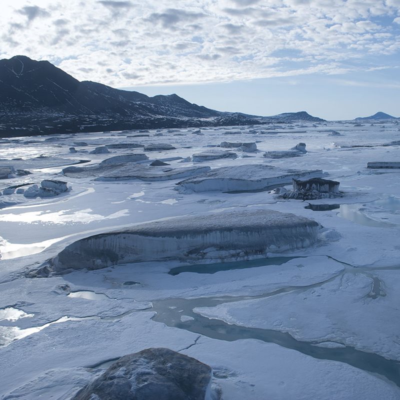 Vida microbiana en los hielos del Ártico